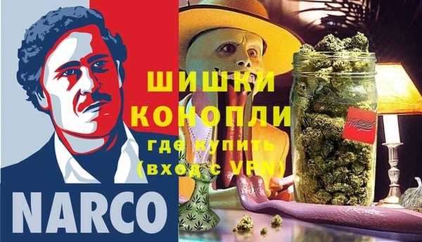mdpv Вяземский
