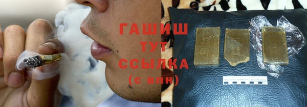индика Горнозаводск