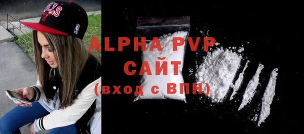 индика Горнозаводск