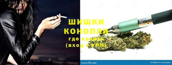 mdpv Вяземский