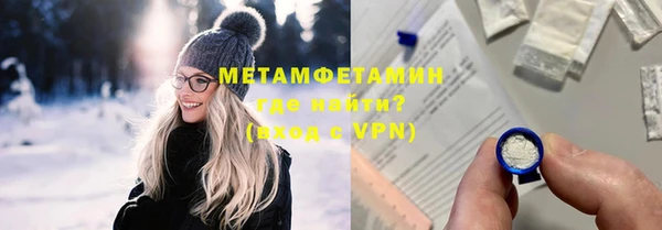 индика Горнозаводск