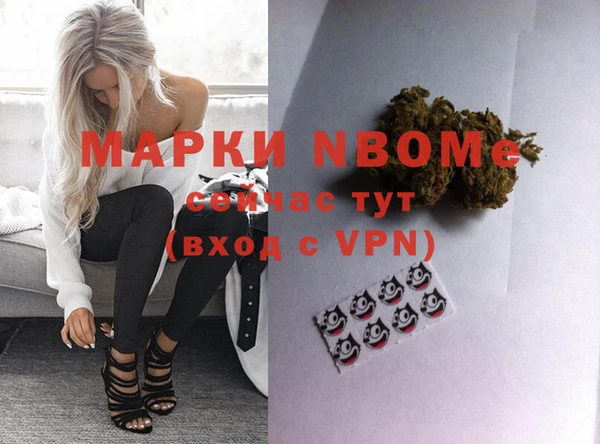 индика Горнозаводск