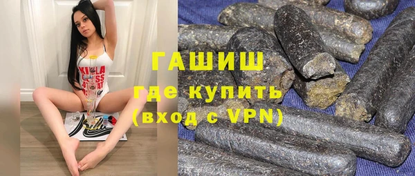 индика Горнозаводск