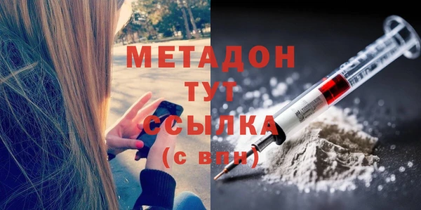 индика Горнозаводск