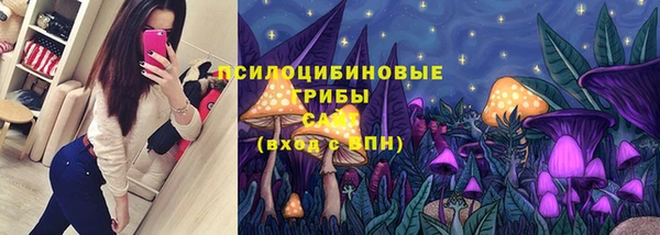 apvp Вязьма