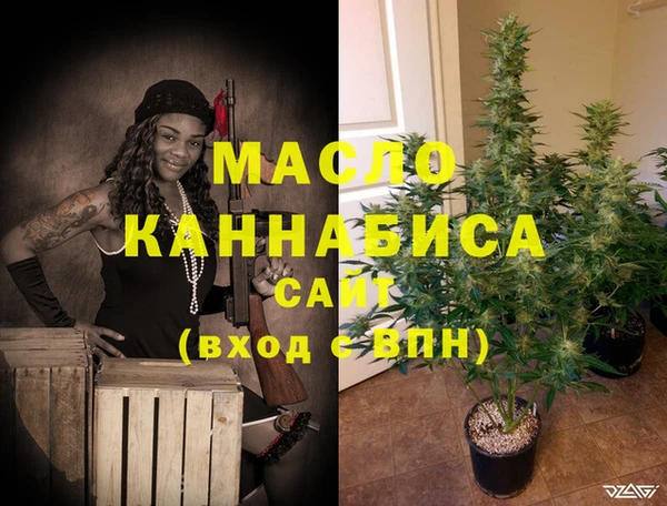 индика Горнозаводск