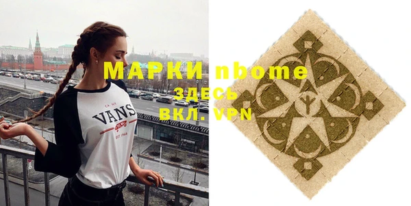 индика Горнозаводск