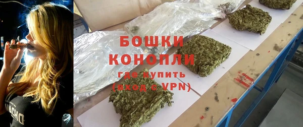 бошки Горняк
