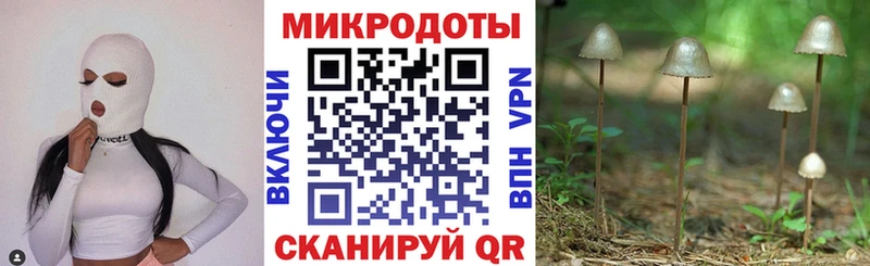 Псилоцибиновые грибы Cubensis  купить наркотик  Энгельс 